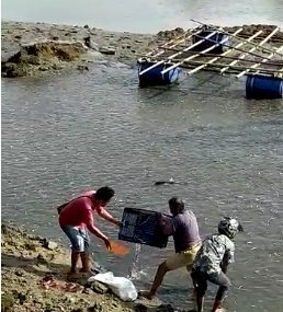 Warga Baubau Heboh Ribuan Ikan Muncul Di Permukaan Pantai Butonsatu