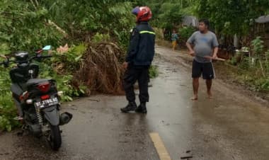 Bersama Warga, Bhabinkamtibmas Polsek Sampuabalo Bersihkan Pohon Tumbang di Jalan Poros Siontapina-Lasalimu
