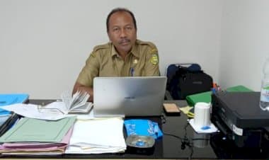 Dorong Perekonomian Petani, Distan Buton Siapkan Puluhan Ribu Bibit Pala dan Kelapa Genjah