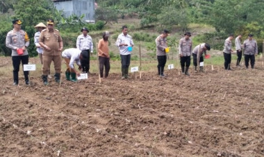 Polres Buton Tanam Jagung Serentak 1 Juta Hektare di Desa Siomanuru