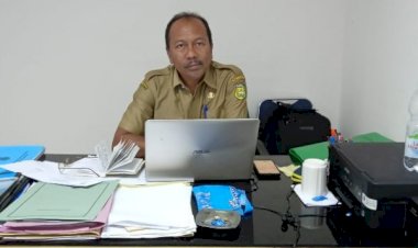 Dorong Perekonomian Petani, Distan Buton Siapkan Puluhan Ribu Bibit Pala dan Kelapa Genjah