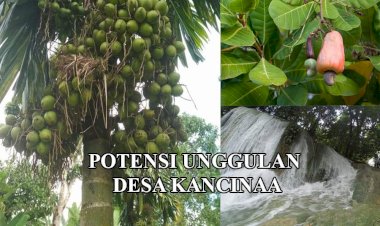 Intip Potensi Unggulan Desa Kancinaa
