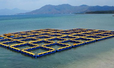 PKTD 2021 Pemdes Benteng Programkan Pembuatan Keramba Nelayan