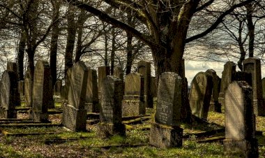 Nyaris Penuh, Pemdes Laburunci Rencanakan Pembangunan TPU Baru