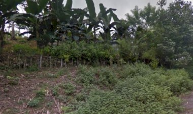Menyingkap Potensi Sektor Pertanian di Desa Winning
