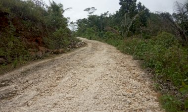 Perlancar Mobilitas Sektor Pertanian, Pemdes Warinta Bangun Jalan Usaha Tani