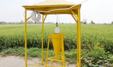 Petani di Desa Kamelanta Butuh Bantuan Benih dan Alat Pengendali Hama