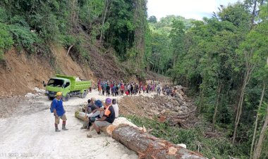 Pembangunan Jalan Usaha Tani di Desa Warinta Masuk Tahap Pengerasan