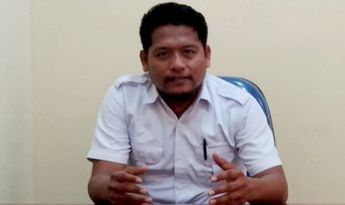 Jokowi Kunker di Buton, Risman: Saatnya Aspal Masuk KEK Nasional