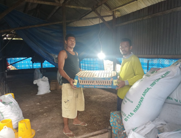 Pemerintah Desa Kancinaa Kembali Salurkan Bantuan Pakan Untuk Peternakan Warga